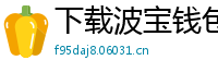 下载波宝钱包